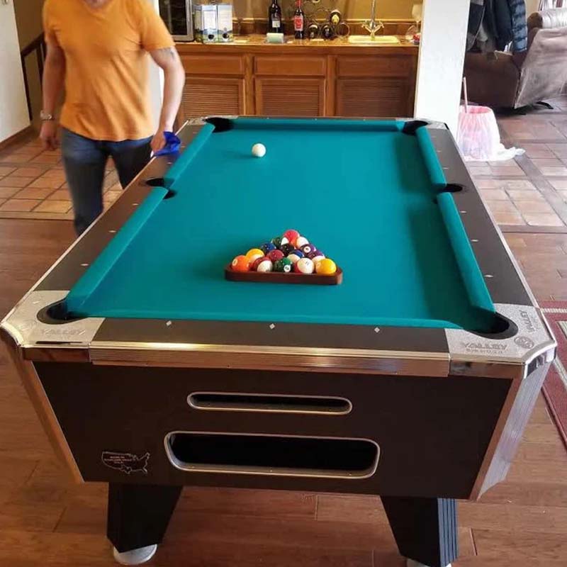 Valley Dynamo Pro Cat Pool Table At Home Image